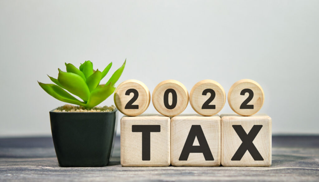 2022 tax - financial concept. Wooden cubes and flower in a pot.